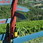Agricola Lanciani *