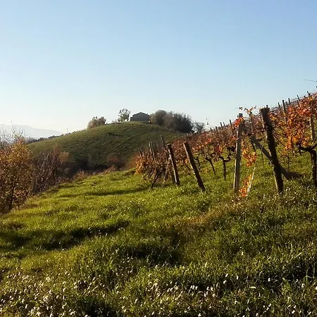 Agricola Lanciani