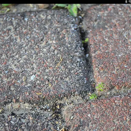 Agricola Lanciani Séjour à la ferme Montefiore dellʼAso