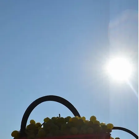 Agricola Lanciani Séjour à la ferme