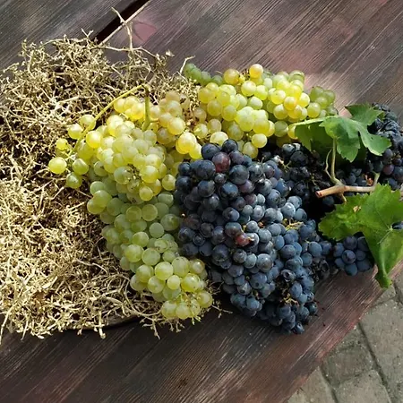 Séjour à la ferme Agricola Lanciani Montefiore dellʼAso