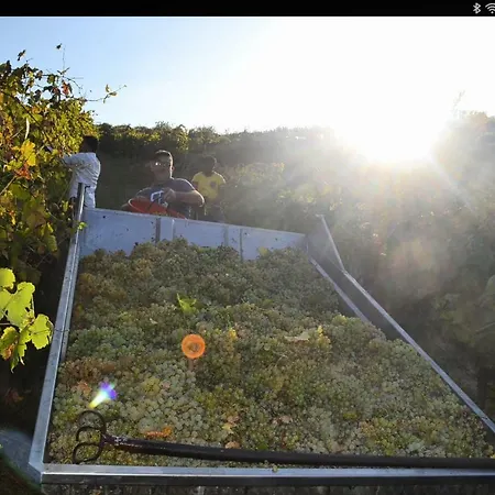 Agricola Lanciani Séjour à la ferme Montefiore dellʼAso