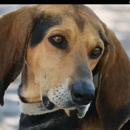 Séjour à la ferme Agricola Lanciani *
