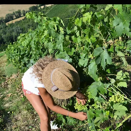 Agricola Lanciani 몬테피오레 델라소