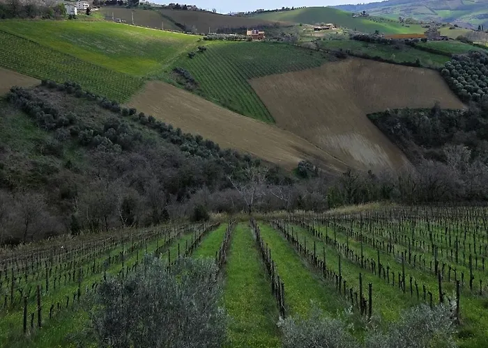 Agricola Lanciani Çiftlik konaklama