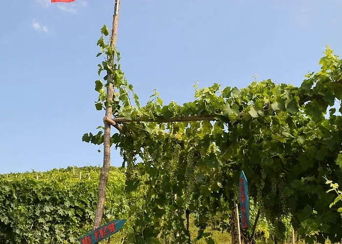 Çiftlik konaklama Agricola Lanciani