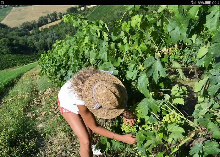 Agricola Lanciani Montefiore dellʼAso